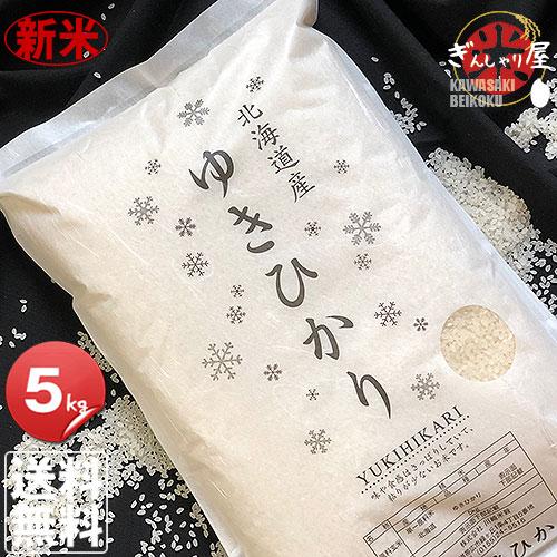 新米 米 5kg お米 ゆきひかり 北海道産 白米 令和5年産 送料無料