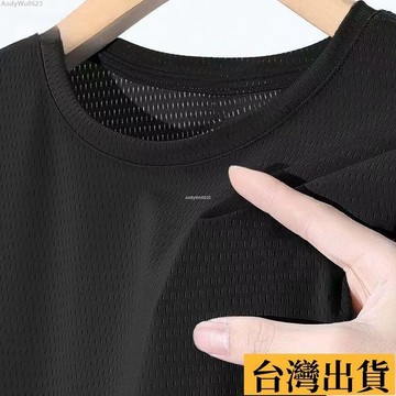 🌈台倉出庫🌈 冰絲涼感透氣速幹網眼短袖t恤2025新款男士夏季健身運動半袖上衣