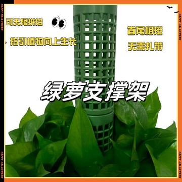 ⭐臺灣熱賣好物⭐立柱花盆樹脂支撐杆組合龜背竹熱植白龜綠蘿新型植物攀爬柱水苔柱