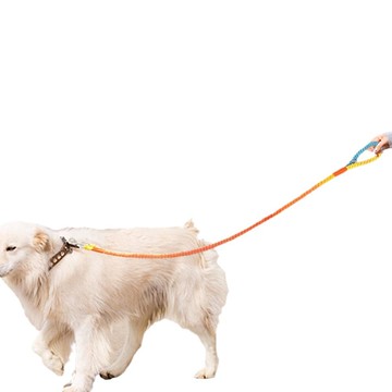 【全球優品匯】airuidog編織狗狗牽引繩 寵物用品遛狗繩 中大型犬牽引防爆沖