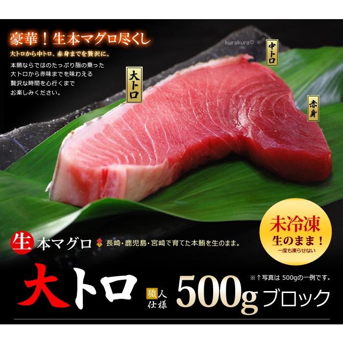 生本マグロ 大トロ ブロック (約500g) 国産 (主に 鹿児島産 長崎産 高知産) 蓄養 生まぐろ 生マグロ 生鮪 大トロ 大とろ 生本まぐろ 本まぐろ 鮪 まぐろ マグロ