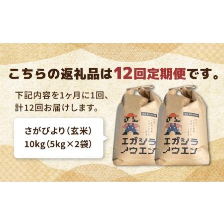 ふるさと納税 がばいうまか エガシライス（さがびより）玄米 10kg（5kg×2袋）特A 特A評価[HAU008] 佐賀県江北町