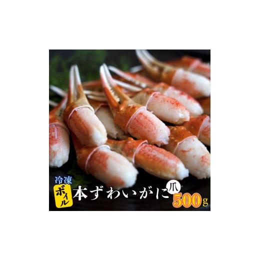 ふるさと納税 茨城県 大洗町 ボイル 本ずわいがに 爪 500g×1 カジマ ずわい蟹 ズワイガニ ずわいがに かに カニ 蟹 かに爪 カニ爪