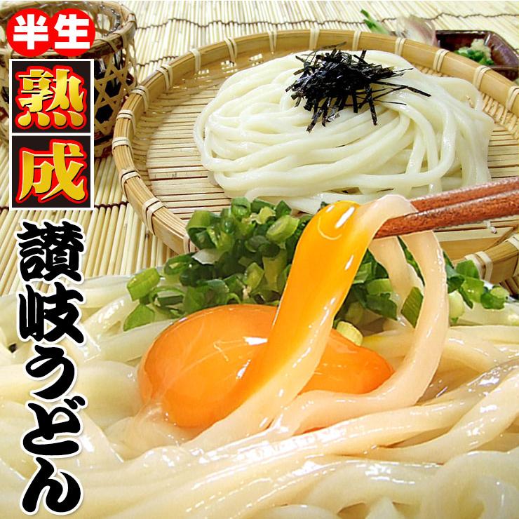 熟成 半生 並切麺 讃岐うどん 激ウマ 6〜8食 便利な個包装 250g×3袋 750g 送料無料 最安値挑戦 お試し