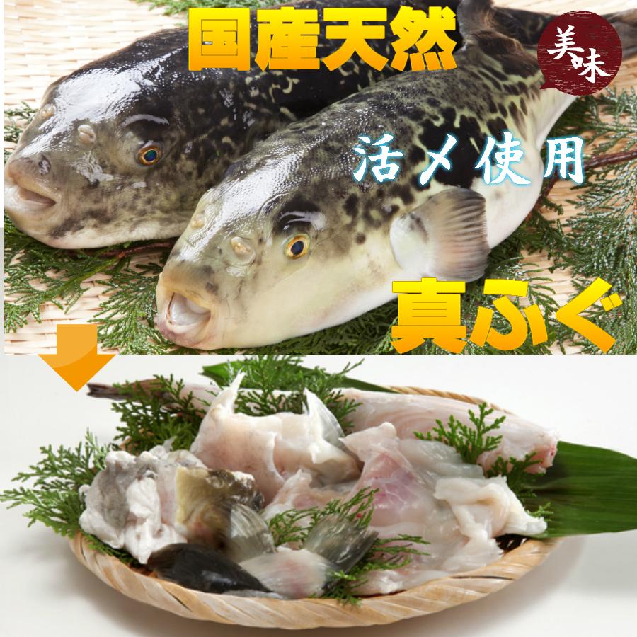 ふぐ刺し ３皿 フグ刺し 天然 フグ刺身 厚切り てっさ  お歳暮 送料無料 ふぐ刺身 240ｇ 3-4人前  フグ刺身 ふぐさし 御祝 ギフト 賞味期限冷凍１０日