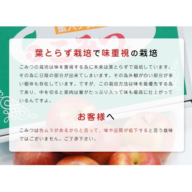 送料無料 青森県産 りんご こみつ(少し訳あり)6〜13玉 約2kg