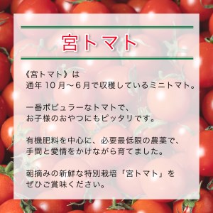 「宮トマト」2・ 長崎県認定特別栽培米ひのひかり2・