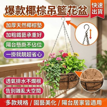 吊籃花盆 椰棕花籃 吊盆 掛籃 鐵藝 懸掛 花盆 花架 陽台