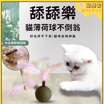 【臺灣熱賣】貓薄荷球玩具 寵物不倒翁玩具 逗貓羽毛棒 貓咪自嗨解悶神器 小貓磨牙玩具 磨牙潔齒 木天蓼玩具 貓咪互動玩具