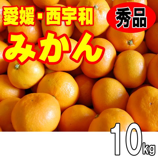 愛媛みかん　秀品お歳暮ギフト贈答用　１０ｋｇ　愛媛西宇和産　送料無料　11月下旬から発送　産地直送温州みかん