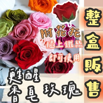【璟采職人】整盒 香皂花 香皂玫瑰 甦醒玫瑰  肥皂花 玫瑰花頭 手工花 不凋花 永生花 仿真花 乾燥花 捧花 拍照道具