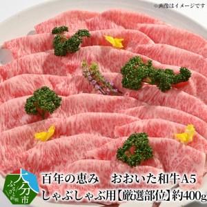 ふるさと納税 A01101　百年の恵み　おおいた和牛A5　しゃぶしゃぶ用約400ｇ 大分県大分市