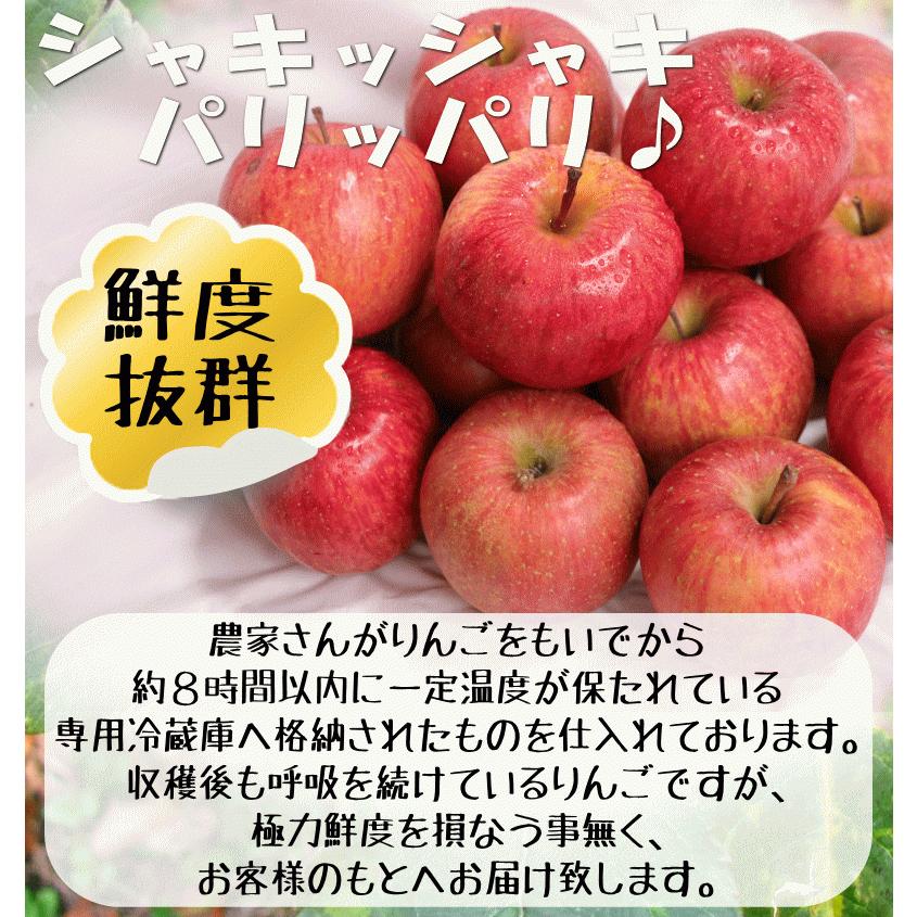 あすつく 青森 りんご 3kg箱 サンふじ 家庭用 送料無料 リンゴ 訳あり 3キロ 箱 旬シリーズ★サンふじ 家 3kg箱