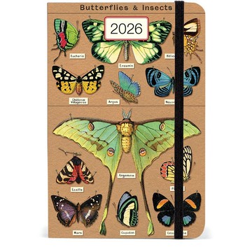 Cavallini & Co. 2026週計畫手帳_A6_BUTTERFLIES&INSECTS