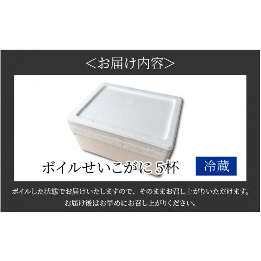 ふるさと納税 福井県 あわら市 ボイルせいこがに 5杯 《2023年11月6日解禁！獲れたての味！》 ／ 期間限定 茹で ボイル 冷蔵 蟹 カニ 福井県 あわら市 海鮮 冬…