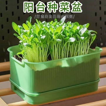 優品優選🍎【加厚耐用】種菜盆陽臺長方形塑料盆大號花盆草莓盆家庭種菜神器YE