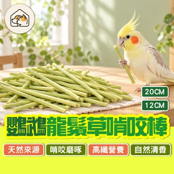 《家有毛孩🐾》鸚鵡龍鬚草啃咬棒 龍鬚草磨嘴玩具 互動玩具 啃咬玩具 抓握磨嘴玩具 紓壓玩具 鸚鵡玩具 鸚鵡磨牙 鳥玩具
