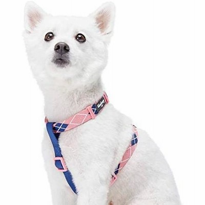 Blueberry Pet Scottish Argyle Dog Harness, Pink, Small, Adjustable Harnesses for Dogs