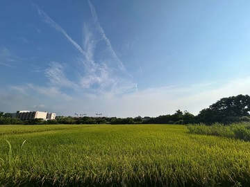 特  農新屋社子段  單面臨路農地｜桃園市新屋區社子段