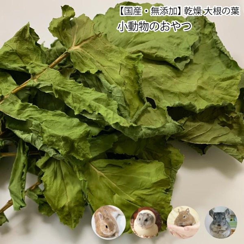 小動物 うさぎ おやつ ごはん