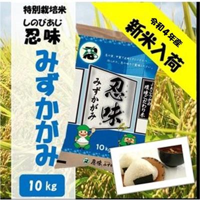 滋賀県産近江米　JAこうか　特別栽培米　忍味　みずかがみ10kg　お米　白米