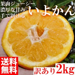  みかん いよかん 2kg 訳あり 大特価 ブランド 和歌山県産 産直 オレンジ フルーツ 果物 伊予柑