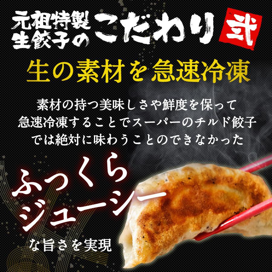 餃子 取り寄せ 送料無料 業務用 冷凍 生餃子 国産素材 時短 お手軽 簡単 大容量 餃子計画 業務用の特製生餃子 200個袋入