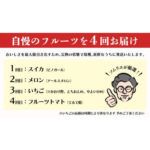 ふるさと納税 茨城県 筑西市 先行予約 旬 の フルーツ定期便 こだまスイカ スタート フルーツ 果物 定期便 いちご イチゴ 苺 とち…