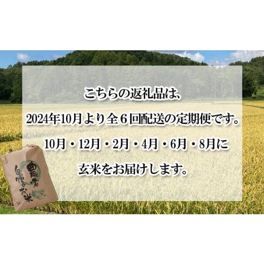 ふるさと納税 北海道 新ひだか町 ＜ 予約 定期便 全6回 ＞ 北海道産 希少米 おぼろづき 玄米 5kg ＜2024年10月より配送＞ お米 米 こめ 北海道米