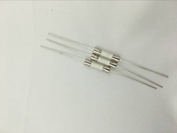 5*20mm 陶瓷雙帽帶線保險絲 環保延時慢熔保險管 T2A  250V  20個