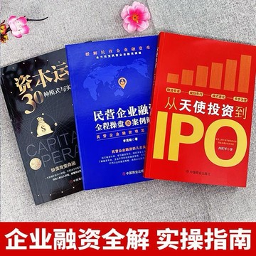 (台灣現貨) 正版 從天使投資到IPO  資本運作30種模式 民營企業融資 企業管理書籍