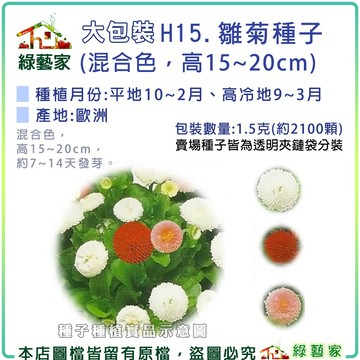 【綠藝家】大包裝H15.雛菊(混合色，高15~20cm)種子1.5克(約2100顆)(花卉種子)