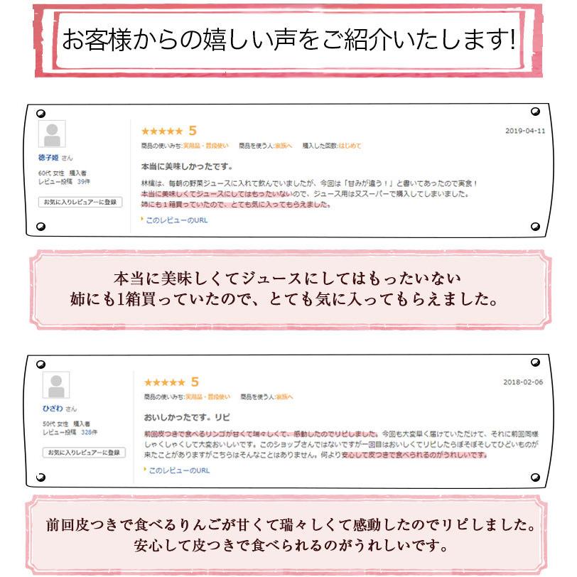 長野県産 りんご 樹上完熟りんご 5kg 特別栽培農産物 減農薬 蜜入り 訳あり ジュース用 ご家庭用 にんじんジュースにも最適