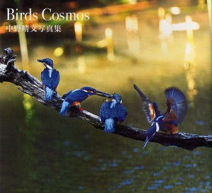 Birds Cosmos 中野晴文写真集 中野晴文