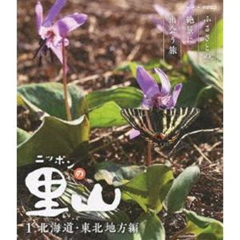 ニッポンの里山 ~ふるさとの絶景に出会う旅~ DVD-BOX