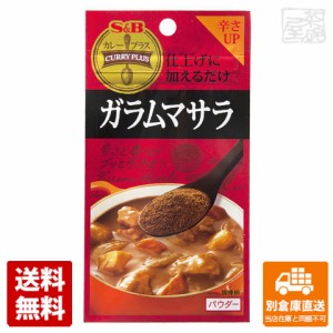 Ｓ＆Ｂ　カレープラス　ガラムマサラ　11g　×10 セット 