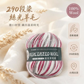 台灣出貨✨ 進口羊毛線 290 段染工藝 中粗棒針毛線 手工編織圍巾線 嬰兒毛衣線 DIY 手作材料