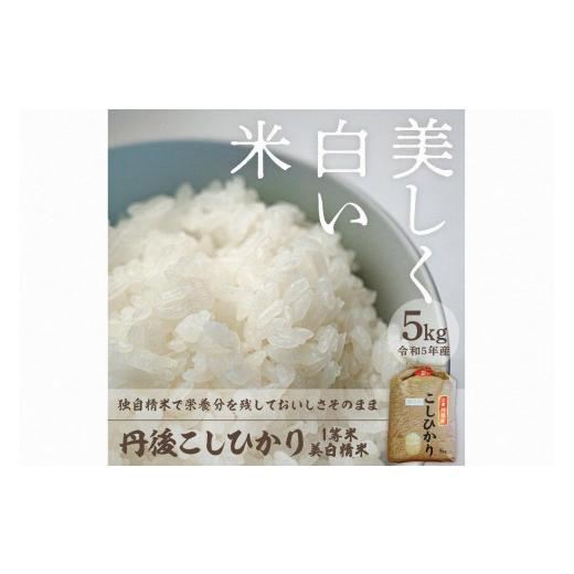 ふるさと納税 京都府 京丹後市 令和5年産 新米 美白精米 丹後こしひかり 5kg 1等米