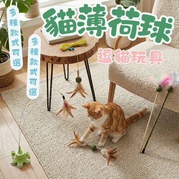 貓薄荷逗貓棒 木柄逗貓棒 自主逗貓 貓咪玩具 逗貓棒 懶人逗貓 彈力 木柄 羽毛 貓薄荷球 寵物玩具