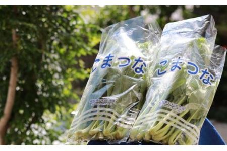 いわき浜の野菜セット（いわき市産の野菜詰め合わせセット）