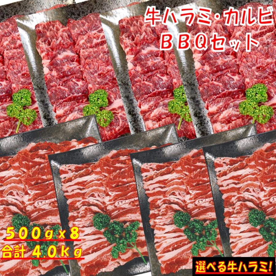 肉 バーベキュー 食材 牛肉 焼肉セット バーベキュー肉 ハラミ  BBQ 肉 バラ カルビ バーベキューセット 食材 肉 BBQ食材 焼肉 牛丼 4kg 12〜15人前