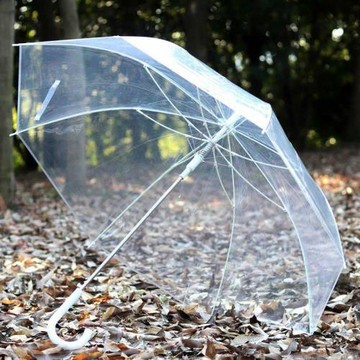 兒童雨傘長柄透明青少年上學專用男女孩2026新款加大手繪兩用雨傘