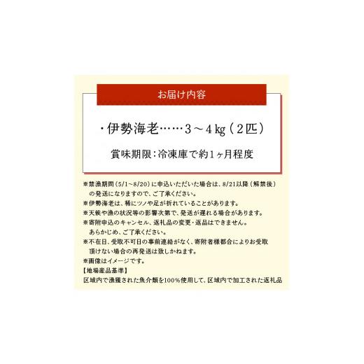 ふるさと納税 鹿児島県 和泊町 ■沖永良部島直送！素潜り漁師オススメの特大冷凍伊勢海老　約３〜４キロ（２匹）！