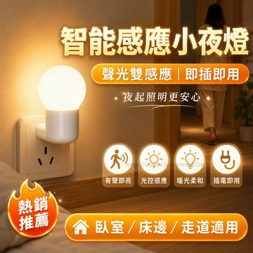 🔥台灣出貨🔥 光控感應小夜燈 插電式LED夜燈 天黑即亮 臥室床頭燈 樓道走廊燈 節能睡眠燈