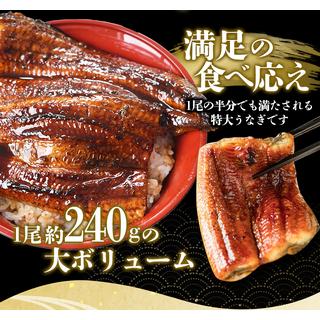 ふるさと納税 鰻 うなぎ うなぎの蒲焼 炭火焼き 炭火   1尾で約240gのビッグサイズ うなぎ蒲焼 2尾 計約4.. 和歌山県紀美野町