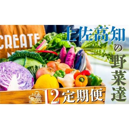 ふるさと納税 ★北海道・沖縄配送不可★高知の新鮮野菜セット／旬の野菜を味わう12ヵ月便 高知県高知市