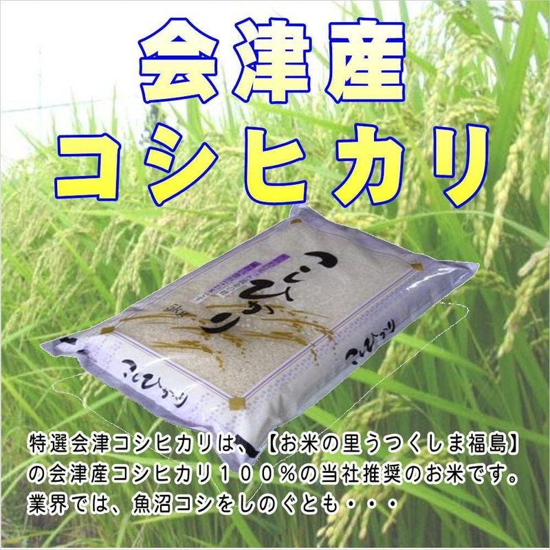 福島県会津産 白米 コシヒカリ 10kg(5kg×2袋) 令和4年産