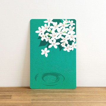 台灣風味明信片-苗栗縣桐花季