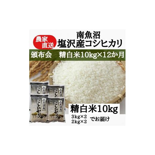 ふるさと納税 新潟県 南魚沼市 農家直送！令和5年産　南魚沼塩沢産コシヒカリ　精白米10ｋｇ×12ヶ月