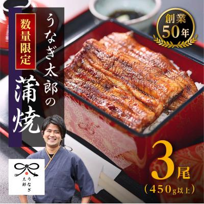 ふるさと納税 大崎町 !創業50年・職人による手焼き　大隅産うなぎ